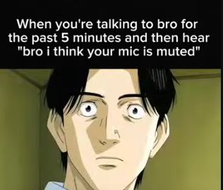 A screen capture of a manga character with a shocked expression, accompanied by the text, "When you're talking to bro for the past 5 minutes and then hear 'bro i think your mic is muted'"