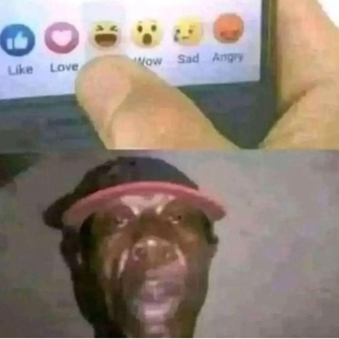 A split image. The top shows a hand about to press the 'love' reaction on a Facebook post. The bottom shows a man with a surprised expression, wearing a black cap with a pink visor.