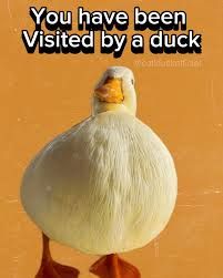 A picture of a white duck on an orange background. The text on the image reads: "You have been visited by a duck".