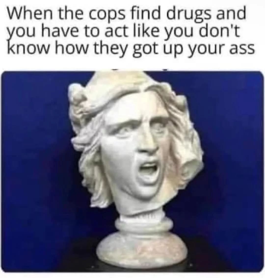 A statue with an exaggerated expression of shock and surprise. The text says, "When the cops find drugs and you have to act like you don't know how they got up your ass."