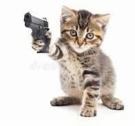 A small, tabby kitten is sitting down and pointing a black handgun forward.