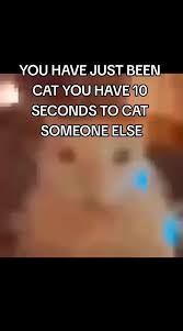 The image contains the text "YOU HAVE JUST BEEN CAT. YOU HAVE 10 SECONDS TO CAT SOMEONE ELSE." above a blurry picture of a cat's face.